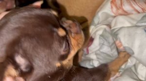 Всем наидобрейшего утречка и самого чудесного начала дня.