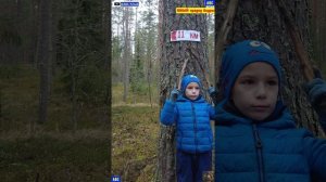 Лесной фитнес у МИРОНчело и ДЕДа 29.10.2025 #мироша #будогощь #юныйпрадедбодрыйдед #авсарх