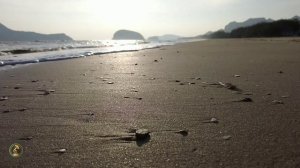 Музыка для медитации.| Морской бриз | Шум моря.