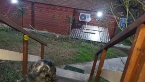 СОЧИ ГОРНОЕ ЛОО ВЕЧЕР 29.10.2025