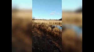 Судьба сузбинушка не пей кровинушку