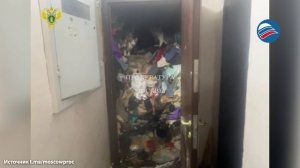 Горы мусора и страдающие животные: москвичка устроила в квартире настоящую свалку