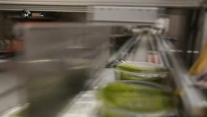 Пищевая фабрика 1 сезон 11 серия (документальный сериал, 2012)