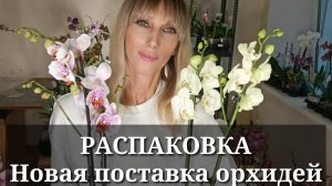 РАСПАКОВКА! НОВАЯ ПОСТАВКА ОРХИДЕЙ!
