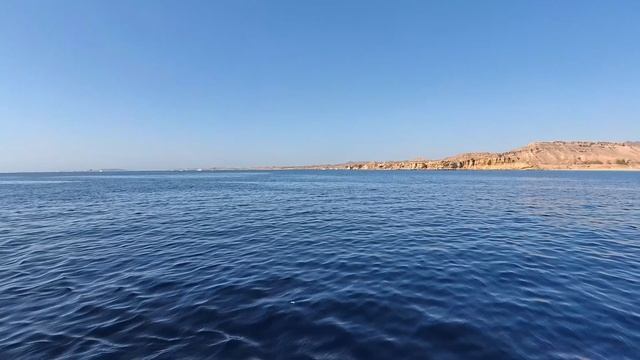 Novotel Beach Sharm El Sheikh 5* октябрь 2025 год смотреть онлайн