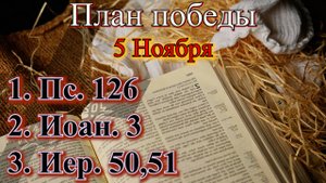 5 Ноября