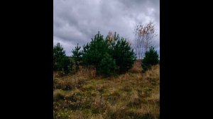 Доброе утро! 
Хорошего дня! 
На улице, как всегда пасмурно, мрачно, поэтому буду , как могу поднимат