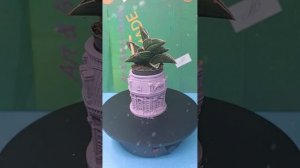 Кашпо из гипса ручная работа.