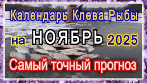 Календарь клева рыбы на ноябрь 2025 Прогноз клева рыбы Лунный Календарь рыбака 2025!