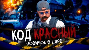 НОВИЧОК в LSPD и КОД КРАСНЫЙ на ГТА 5 РП MAJESTIC RP / ПУТЬ до ЛИДЕРКИ LSPD в GTA 5 RP