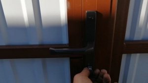 Ворота осень 2025