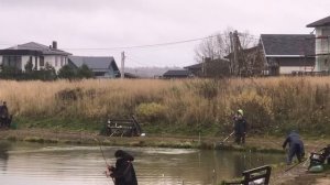 поимка форели