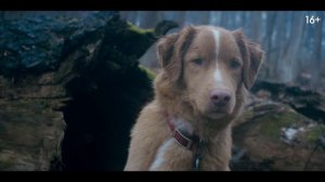 Глазами пса - русский трейлер (2025)