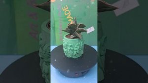 Кашпо из гипса ручная работа.