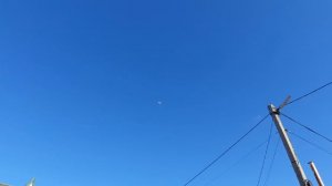 29.10.25 г. Андижанские голуби, выходит на винт (6)