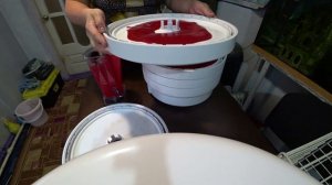 Влог от 19.08.2021