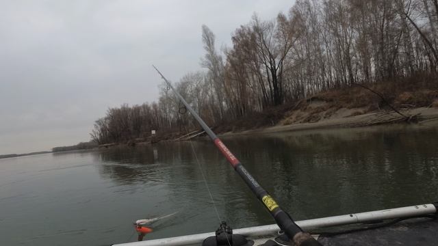 ОСЕННЯЯ ПОКЛЁВКА СТАНДАРТНОЙ ЩУКИ смотреть онлайн