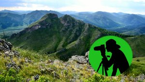 Дивные звуки природы в горах / Видео для отдыха и расслабления / Пение птиц и тихий шум ветра