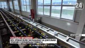 Крымские аграрии собрали 25 тысяч тонн семечковых культур в этом году