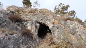 Природная семейная прогулка