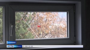 Мороз по углам: в Осинниках продувает стены многоэтажки