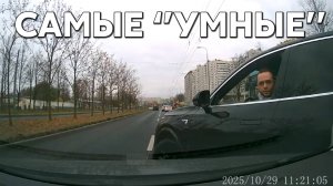 Подборка САМЫХ "УМНЫХ" водителей #1184