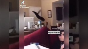 Так выглядит злорадство 😁