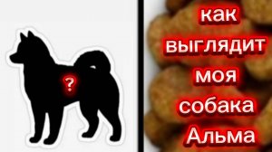 обзо на альму