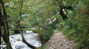 Тропа к святому апостолу СИМОНА КАНАНИТА в Новом Афоне в Абхазии.