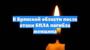 В Брянской области после атаки БПЛА погибла женщина