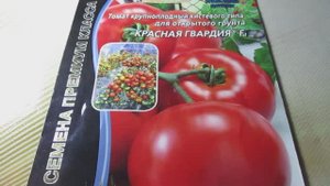Томат Красная Гвардия F1: характеристики и особенности сорта от Уральского Дачника