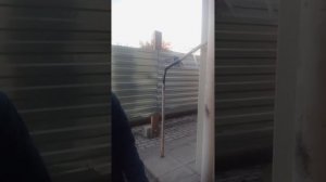 Артем съел всю пачку Black челлендж сразу!