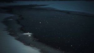 Сергей Есенин - Песнь о собаке   МУЗА.