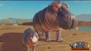 ИГРАЕМ 🎮 ЗА БЕГЕМОТА 🦛 В САВАННЕ ЛАЙФ РОБЛОКС