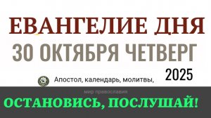 30 октября четверг Евангелие дня 2025 с толкованием #евангелие