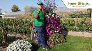 Как правильно хранить семена для следующего года.