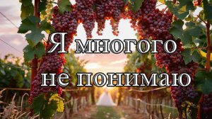 Я многого не понимаю   стихотворение