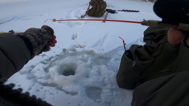 Хариус.Открыл сезон по малым рекам.