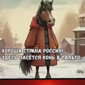 конь в пальто