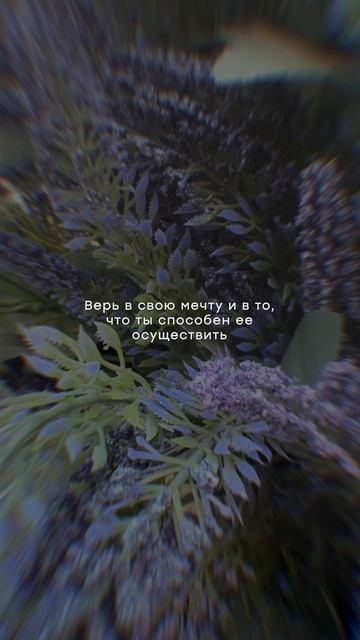 Мир щедр к тем, кто готов протянуть руку навстречу