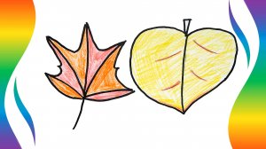 Рисуем кленовый лист и лист яблони - Рисунки для детей