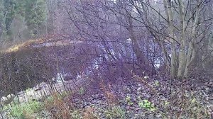 Вот почему любимая снасть...