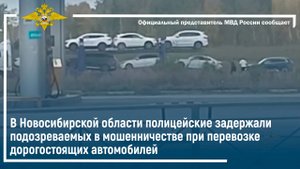 Полицейские задержали подозреваемых в мошенничестве при перевозке дорогостоящих автомобилей