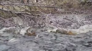 Приближение Зимы