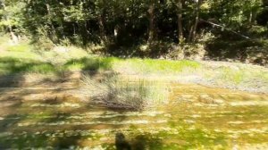 Река псекупс у Горячего Ключа