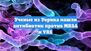 Ученые из Уорика нашли антибиотик против MRSA и VRE