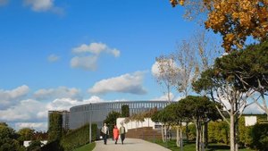 29=10=2025  КРАСНОДАР.  ПАРК  С.  ГАЛИЦКОГО . ОСЕНЬ.  (9)