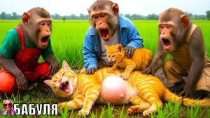 Мультик про животных| Мультики для детей | Обезьянки нашли кота| БАБУЛЯ - ДОБРЫЕ СКАЗКИ
