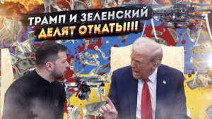 «Откаты» по-президентски: Трамп и Зеленский показывают высший пилотаж