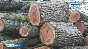 В Корочанском районе идет заготовка древесины для домов с печным отоплением